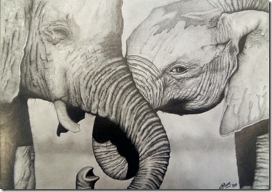 elefantes1