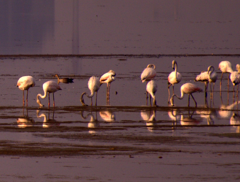 [DSC_1866-002%255B4%255D.jpg]