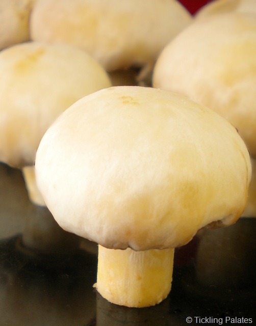 [Mushrooms4.jpg]