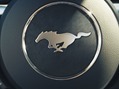 2015-Ford-Mustang-Photos-56