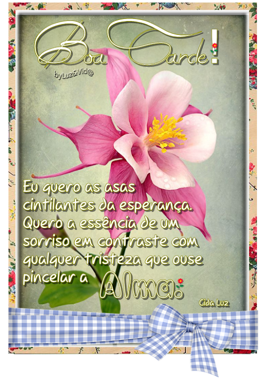 boatarde15%2528MB%2529maryluz.png