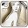 Nossia LWP free Download on Windows