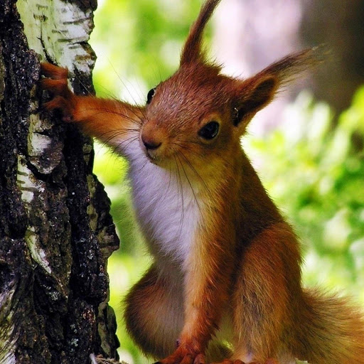 Hd-157486-ascw157486