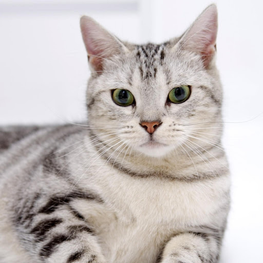 Hd-178487-ascw178487