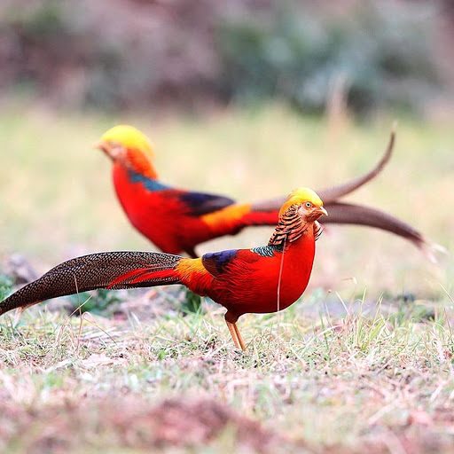 Hd-181291-ascw181291