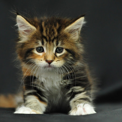 Hd-140368-ascw140368