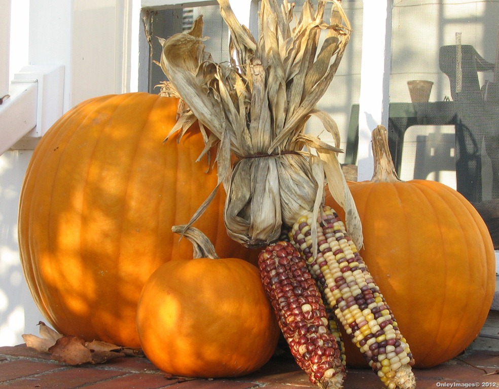 [pumpkins-corn1%255B12%255D.jpg]