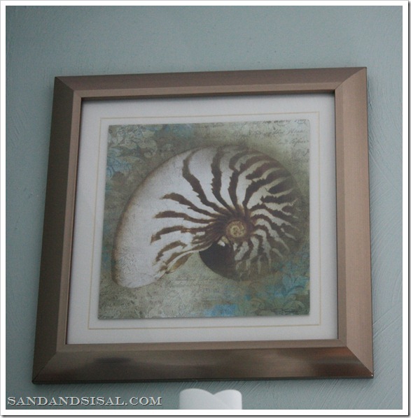 nautilus framed art 