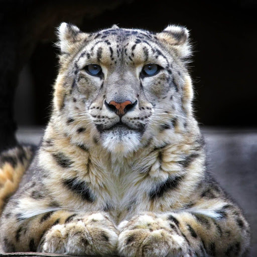 Hd-153532-ascw153532