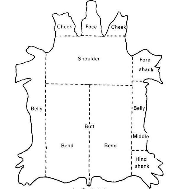 Diagram-of-Cut-Sections-of-Cattle-Hide1.jpg