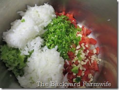 Our Favorite Salsa - The Backyard Farmwife