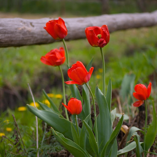 Hd-168842-ascw168842