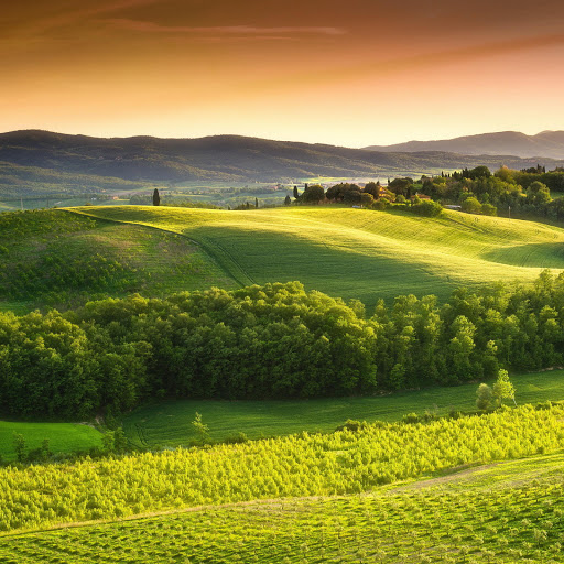 Hd-185328-ascw185328