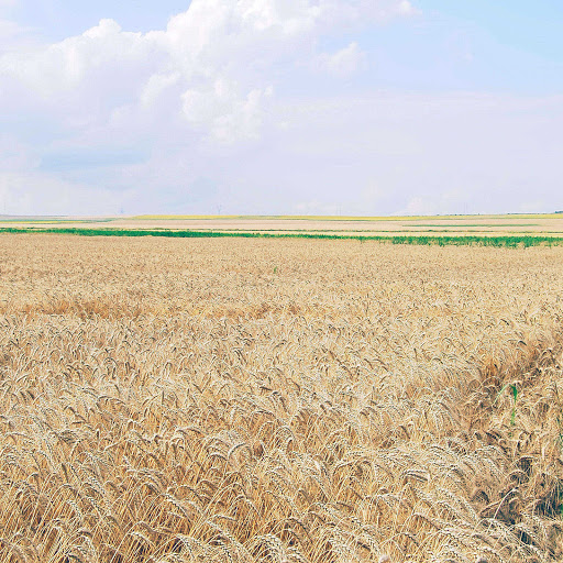 Hd-136341-ascw136341