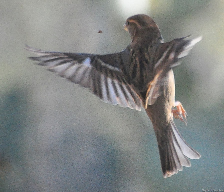 [DSC_0030%255B4%255D.jpg]