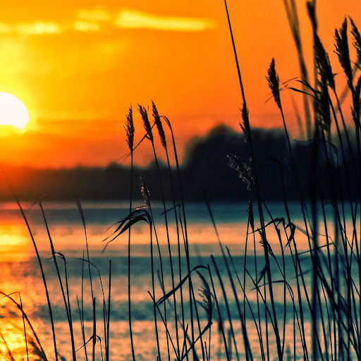 Hd-185352-ascw185352