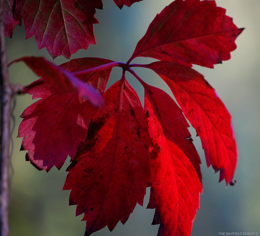 [DSC_3653%255B4%255D.jpg]
