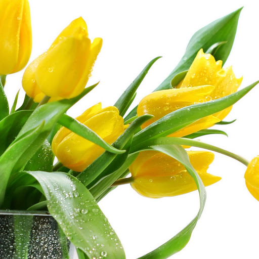 Hd-141210-ascw141210