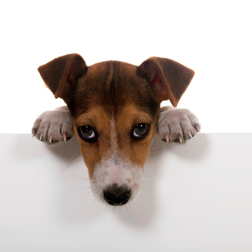 Hd-173565-ascw173565