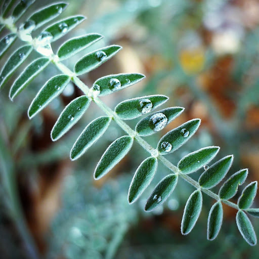 Hd-132898-ascw132898