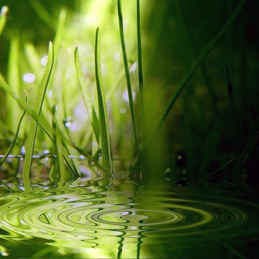 Hd-134109-ascw134109