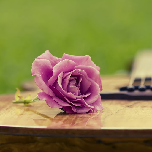 Hd-162551-ascw162551