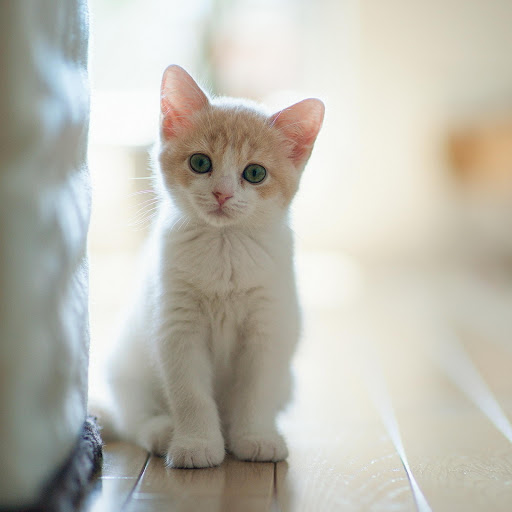 Hd-178202-ascw178202