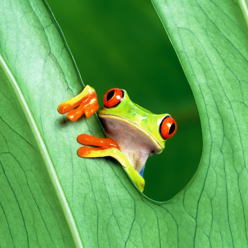 Hd-159961-ascw159961