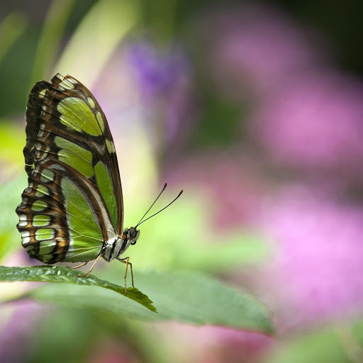 Hd-148479-ascw148479