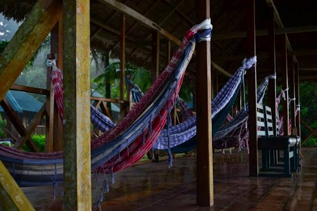 Cazare Jungla amazoniana: Ecoamazonia Lodge Peru