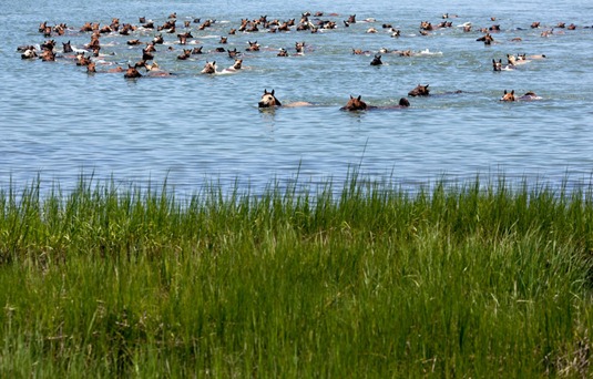 [clip_image011%255B3%255D.jpg]