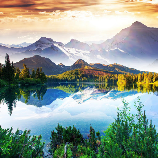 Hd-185319-ascw185319