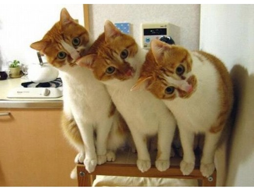 [1__upload_iblock_55a_55a1a258b424fb104b056f86b2c9fa48%255B3%255D.jpg]