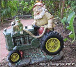 tractor gnome (7)