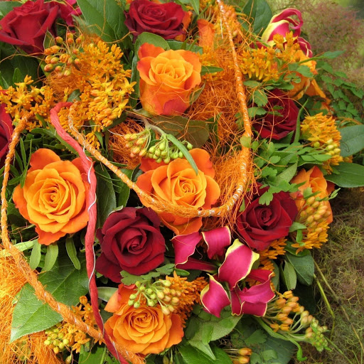 Hd-172335-ascw172335