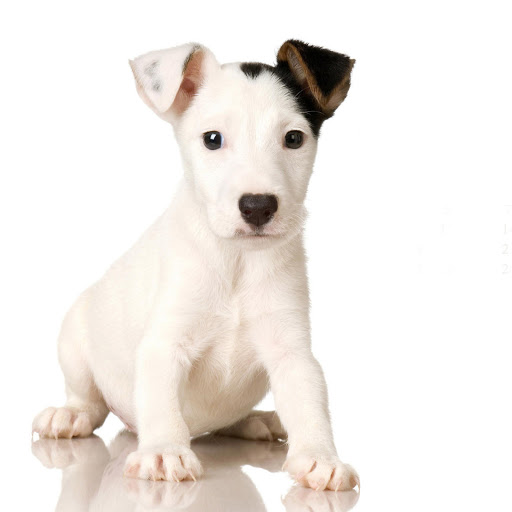 Hd-183156-ascw183156