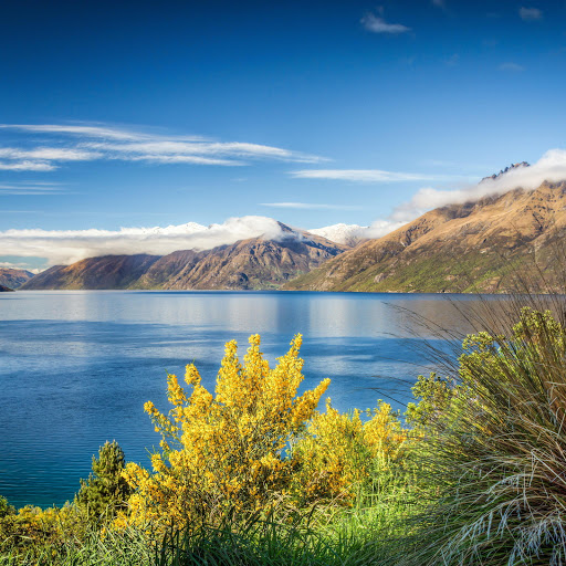 Hd-185336-ascw185336