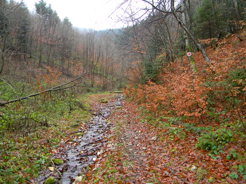 [DSCN18363.jpg]