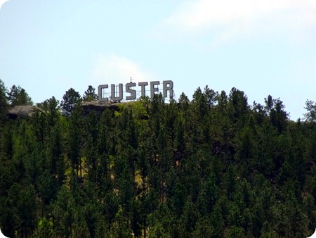 custer sign