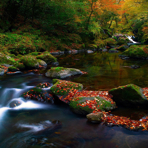 Hd-131314-ascw131314