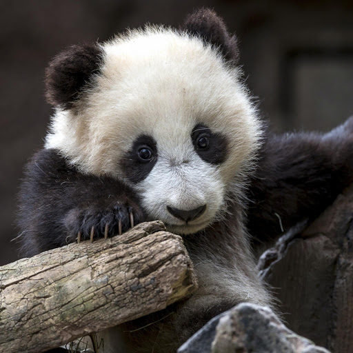 Hd-184844-ascw184844