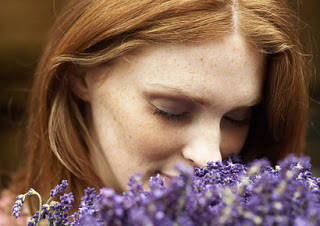 relajate para dormir con lavanda relajate para dormir con lavanda