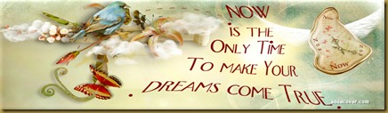 17462-now-is-the-only-time-to-make-your-dreams-come-true