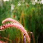 89120025_s.jpg