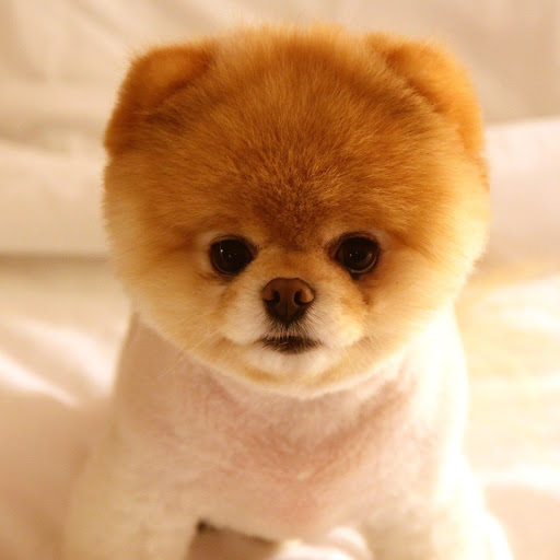 Hd-148486-ascw148486