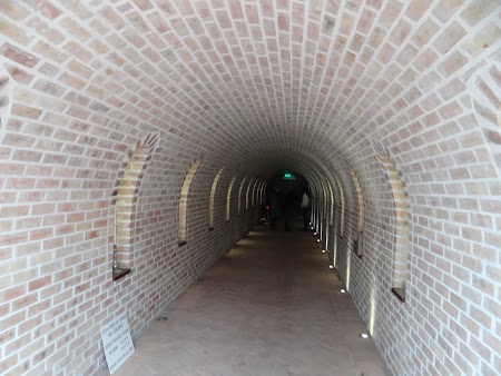 13. Spre crama Comana.JPG