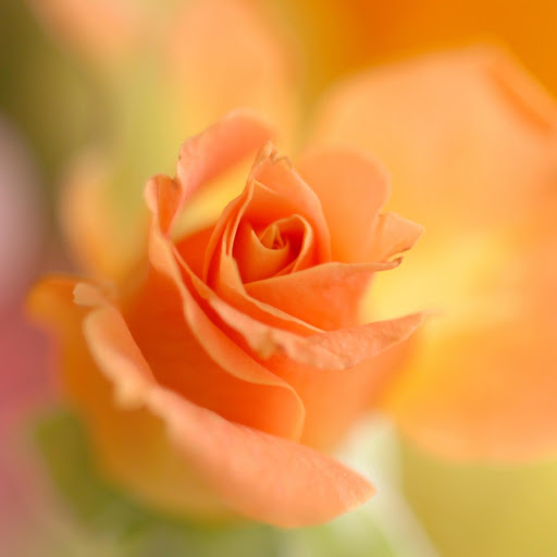 Hd-171422-ascw171422