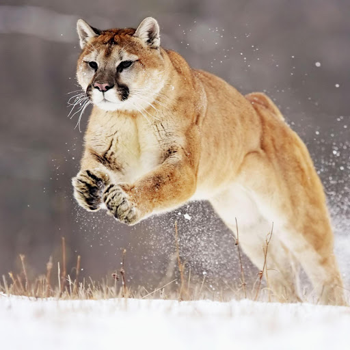 Hd-167524-ascw167524