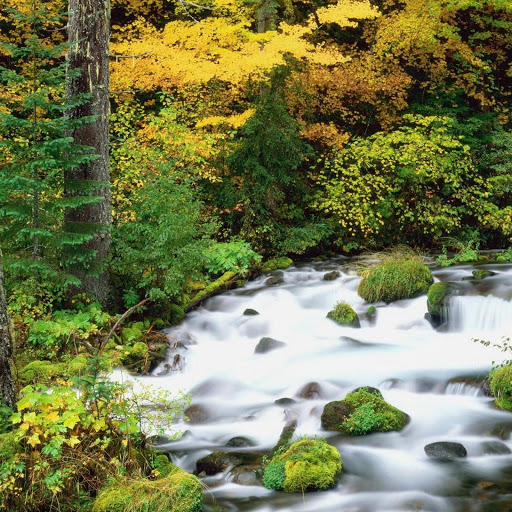 Hd-132297-ascw132297