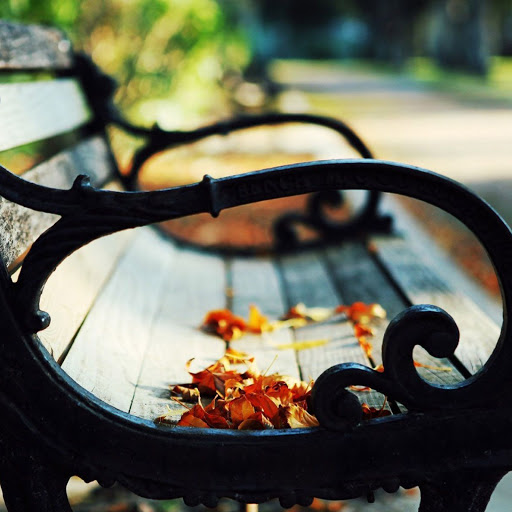 Hd-142565-ascw142565